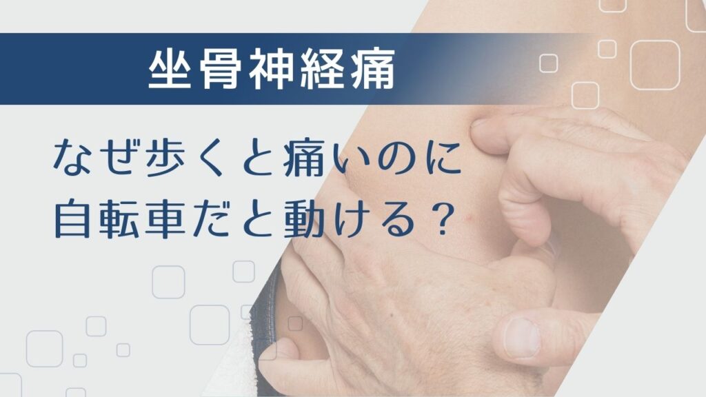 【坐骨神経痛】なぜ「歩くと痛い」のに「自転車」だと動ける？