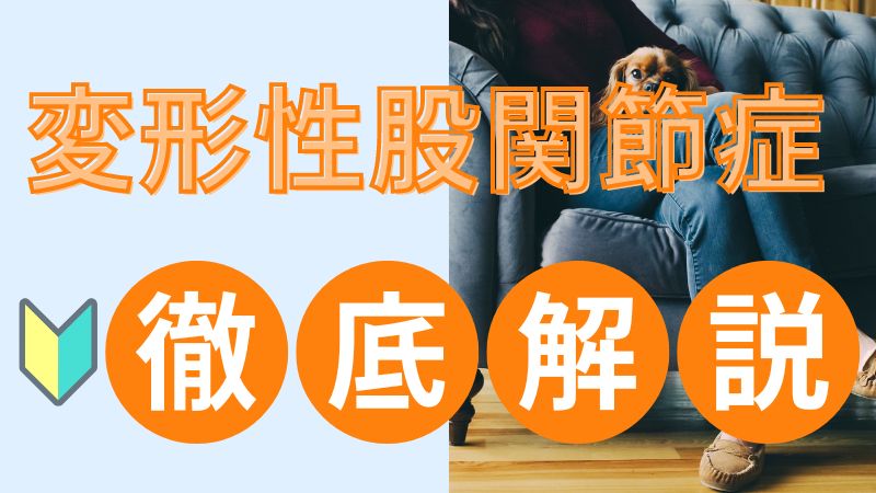 変形性股関節症の原因は年齢だけじゃない｜症状・痛みの特徴を分かりやすく解説