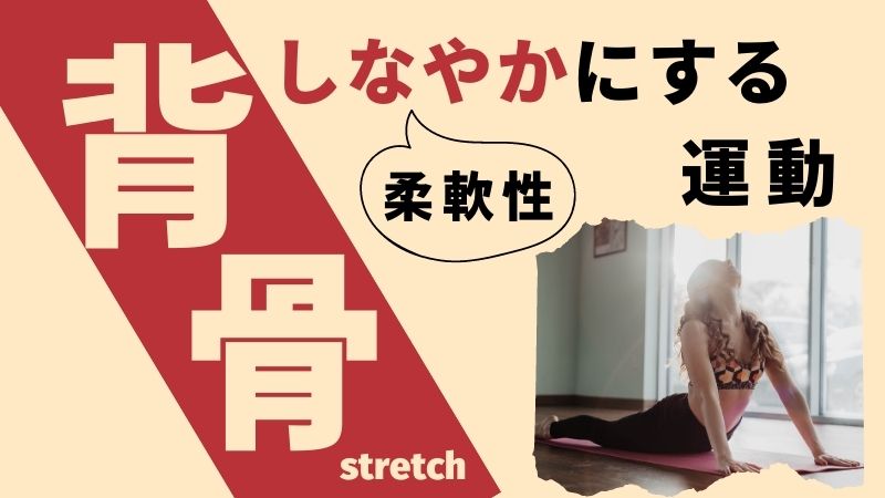 【腰・背中が反れない原因は？】硬さを解消するストレッチ方法を徹底解説