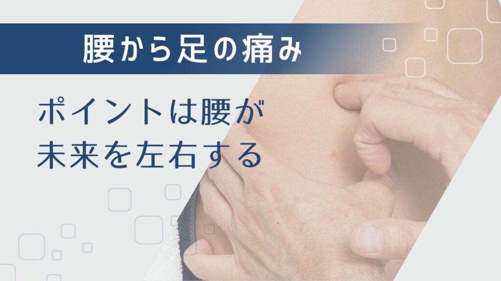 【腰から足の痛み】について解説|ポイントは「腰」が未来を左右する