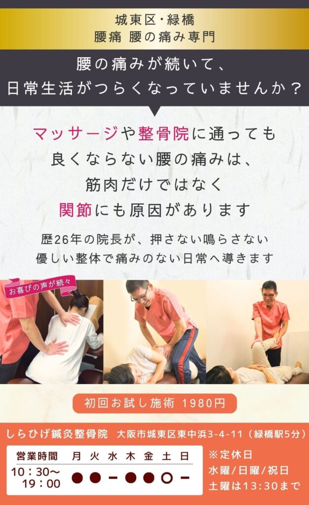 緑橋　腰痛　整骨院